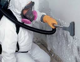 Best Attic Mold Removal  in South Burlington, VT